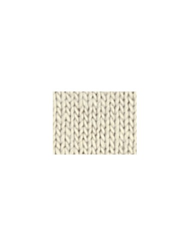 G-65000-Softstyle® Midweight Adult T-Shirt